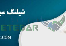 خرید شیلنگ سیلیکونی