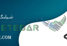 شیلنگ بنزین ال نود